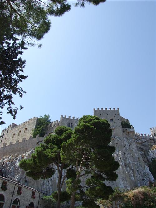 DSCF6175_R.jpg